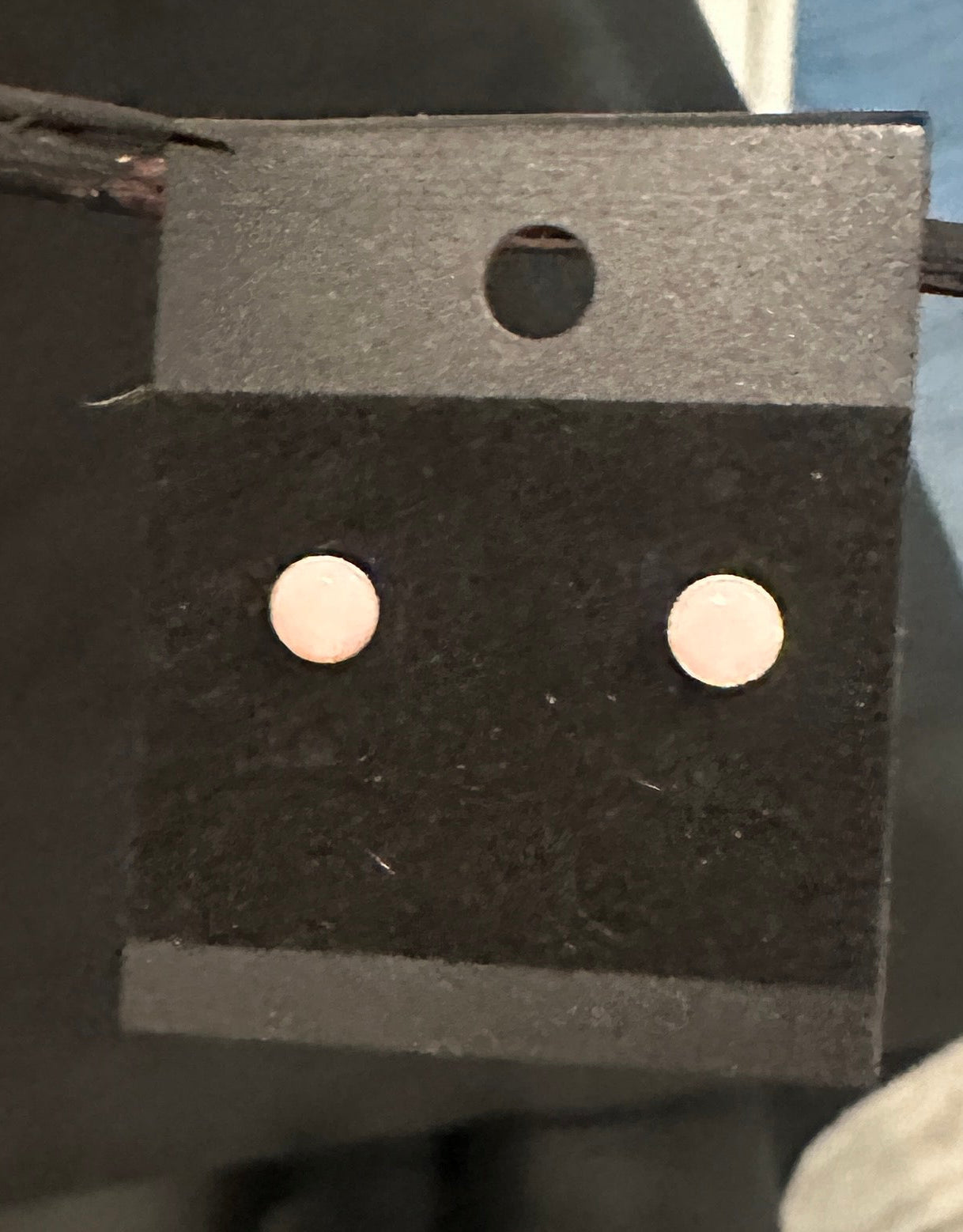 Pink conch stud earrings